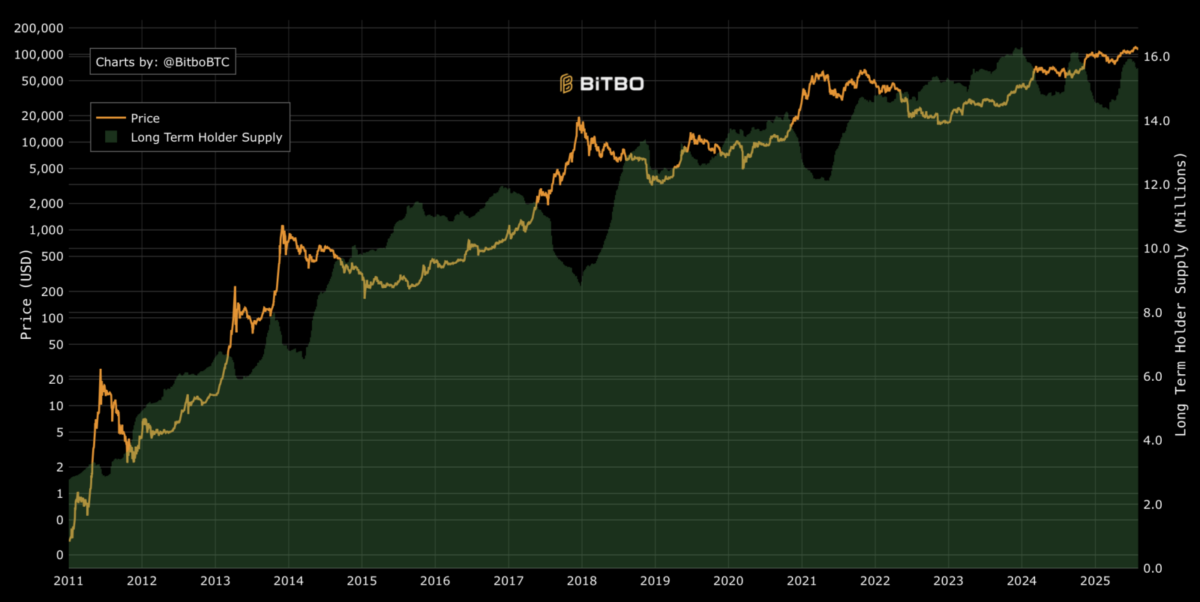 Bitbo long-term holder chart